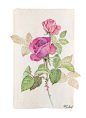 插画手绘 碎花 花 植物 玫瑰 手机壁纸 水粉画 水彩