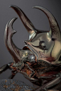 Rhinoceros Beetle--aptly named for his curved proboscis.: 