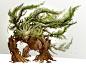 plant creature by kekai kotaki: Guild Wars 2, Creature Design, Kekai Kotaki, Concept Art, Google Search, Character Design