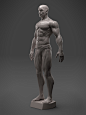 Obligatory Male Anatomy Sculpt, Hector Moran : Yeah, the usual, just one of my versions.  Vray renders by:
https://www.artstation.com/artist/weeely
Available as printable file at: 
https://www.cgtrader.com/3d-print-models/art/sculptures/male-anatomy-sculp