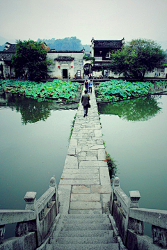 你看我笑靥如花╮采集到美景