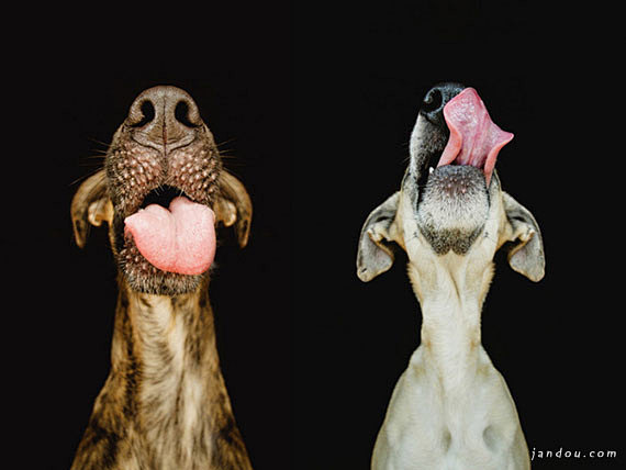 视觉摄影：Elke Vogelsang ...