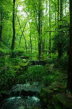 水淡木燃采集到风景