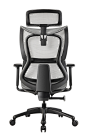 支家WLA人体工学椅电脑椅家用舒适久坐办公椅护腰座椅椅子老板椅-tmall.com天猫