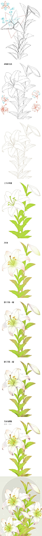 #SAI资源库# 绘师moiy的花卉教程合集，教你画玫瑰、百合、山茶花等9种不同的花卉！自己收藏，转需~