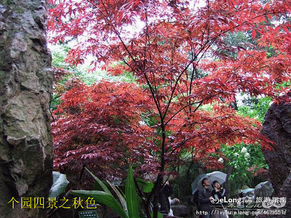 雨中游扬州