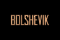 Bolshevik. Premium residential compound : We have created and produced a kit of brochures for a sales office.