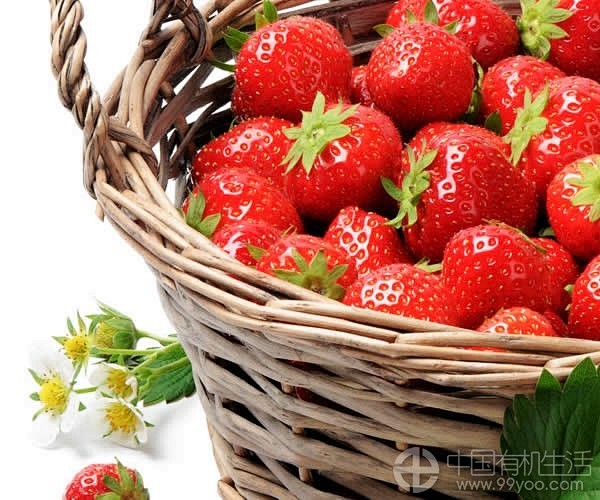 现在正是享用草莓的季节，草莓不只美味好吃...