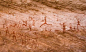 塔西利岩画
阿杰尔高原的塔西利，位于阿尔及利亚东南撒哈拉沙漠中部