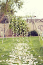 Wedding Canopy & Arches