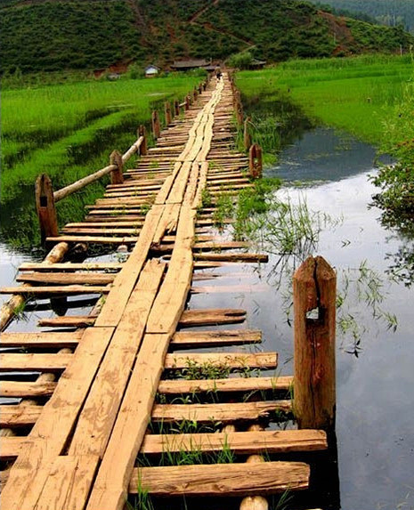 独爱一座桥，充满刺激和童趣的浮水木桥。。