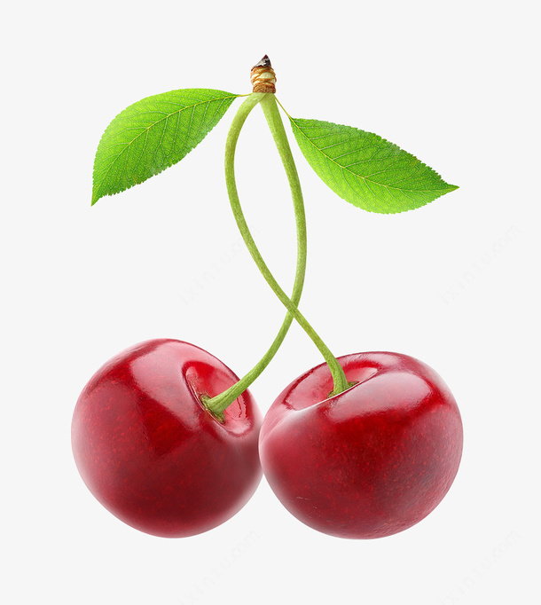 4aeae98be2a9c855af1e5ae1ed325ac5b4c941be170a9-EZL67b