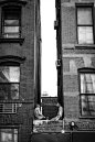 New York City, United States, 2013 daniosorio.com