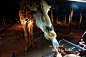 重庆旅行社www.ytszg.com泰国跟团游第三天夜间动物园-被长颈鹿添到了，一手口水