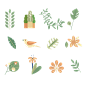 手绘植物 插画 PNG