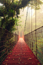 Fog Bridge, Costa Rica
photo via didem
