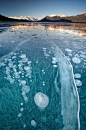 亚伯拉罕湖冻结的气泡。库特尼平原，加拿大阿尔伯塔省。
