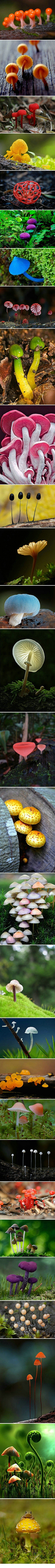 豆小浆●′ω`●采集到小可爱