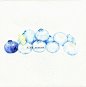 【彩铅水果】蓝莓娃3