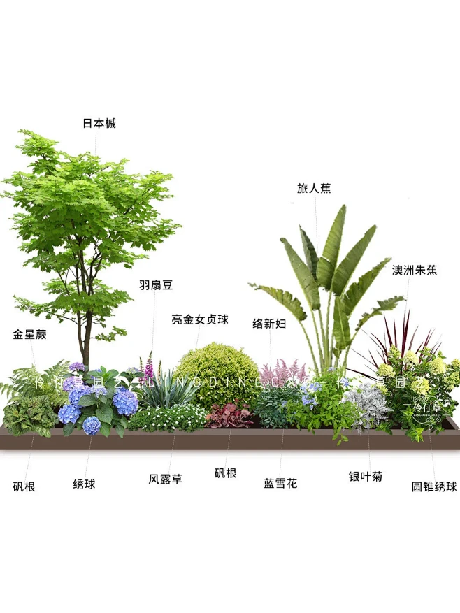 现代感花坛绿植造景营造夏日氛围小花园