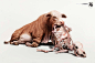 动物骨架的创意-WMF世界建筑文物保护基金会平面广告-封面大图