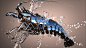 General 1920x1080 digital art animals CGI render splashes metal water drops simple background lobsters reflection