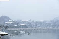 带着相机散步采集到最美还是雪西湖