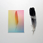 Postcards Gradient Feather (set of 5) © SMJD ... | mo man tai produc…