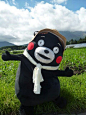 kumamon: