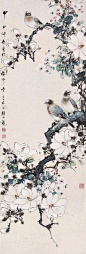 颜伯龙——花鸟画  |   
颜伯龙（1898—1955），名云霖，字伯龙（以字行），号长白布衣，所居椿草堂。满族，正黄旗，北京人。师从陈师曾、王梦石等名师，为王梦石入室弟子。民国时期京津画派著名的花鸟画家，工山水、人物、翎毛、走兽。作品别具一格，超脱凡俗。