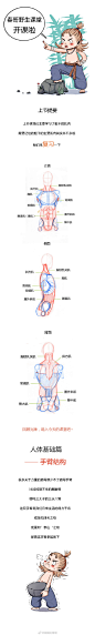 条漫第四弹：手臂肌肉到底怎么画？（理解+练习）#春哥的绘画课室# 绘画参考 #人体绘画# ​​​​ _人体结构与模特采下来 #率叶插件，让花瓣网更好用#