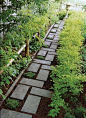 interesting pattern for a walk way that's pavers and mulch