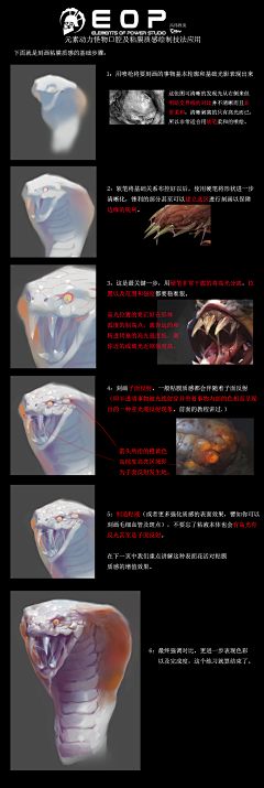 油麦菜1900采集到教程类