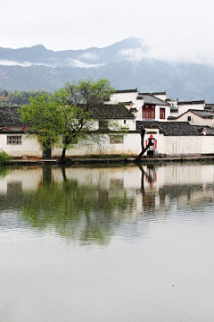 李小末采集到江南水乡