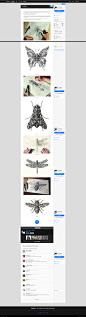 Little Wings on Behance