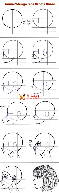 尼欧-NEO采集到肌肉结构参考图