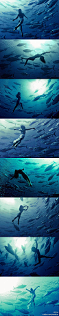 马耳他摄影师Kuar Arrigo，全球最优秀的水下摄影师之一。这组作品拍摄于马耳他海域，模特为日本前花样游泳运动员原田早穂。她在水下与金枪鱼群共游，展现出舞蹈般的美丽动作~和鱼儿共舞是多么美妙的一件事~