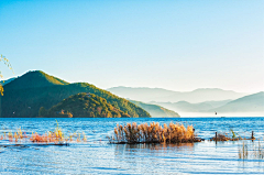 Lemondayfish采集到风景