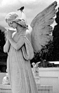 Cemetery Angel, Costa Rica