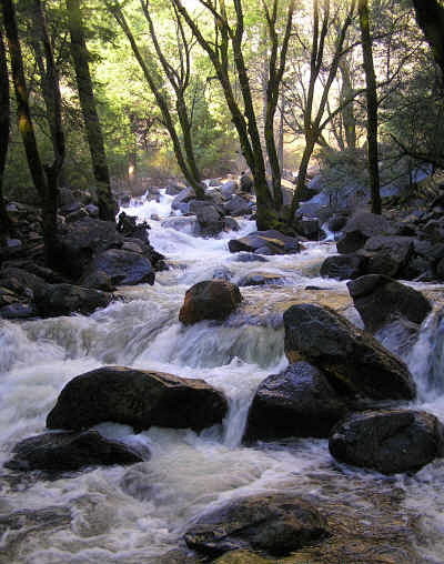 山石与跌水