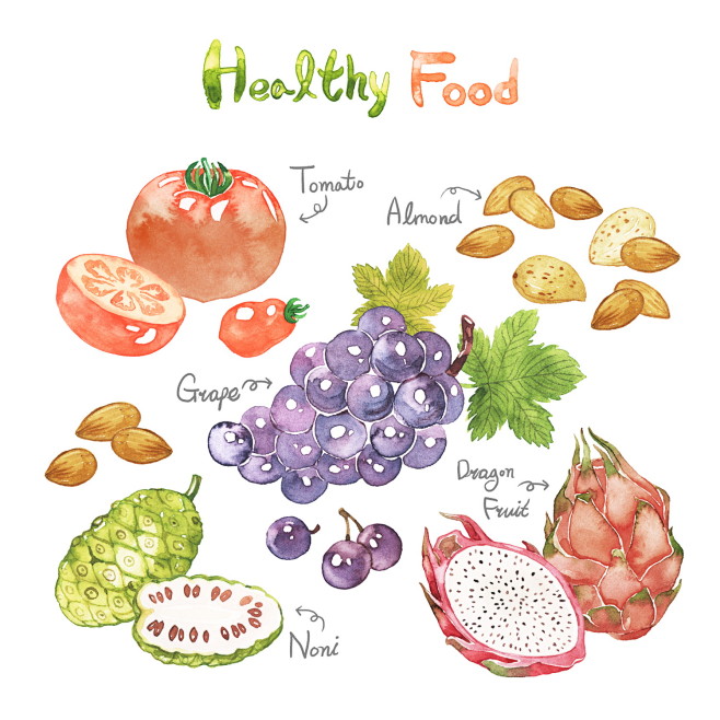 营养水果插画