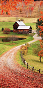 Woodstock, Vermont-  I could definately live here, with horses and chickens and cows and pigs...oh yeah!!!