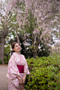 シダレザクラ [枝垂桜を楽しむ着物姿の若いアジア女性 - kimono ストックフォトと画像