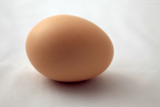 爱迪生画鸡蛋！