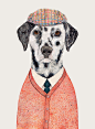 Dalmatian Art Print, Dalmatian Illustration, Dalmatian Poster, Dog in Suit, Dapper Dog, Animal Crew : This is a borderless inkjet print of my artwork, Dalmatian (unframed)  Beautifully printed on archival matte paper with an Epson Stylus Pro 7900,