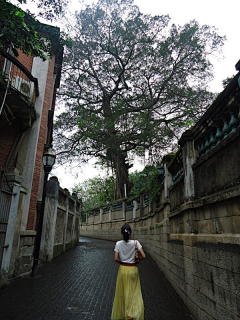 yy夏影采集到心的旅行