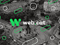 web_cat_2_4.jpg