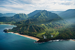 扒手没有手采集到树林 山水森林 背景