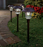 Solar LED Path Lights | Solar Lighting | Plow & Hearth: 