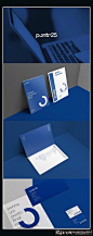 葡萄牙Ponto25软件公司品牌设计 创意蓝色元素企业形象设计 时尚蓝色名片 科技画册设计 #字体# #Logo# #色彩# #经典# #素材#